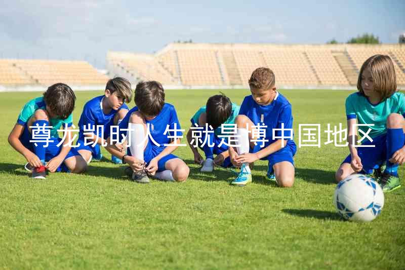 尊龙凯时人生就是博中国地区