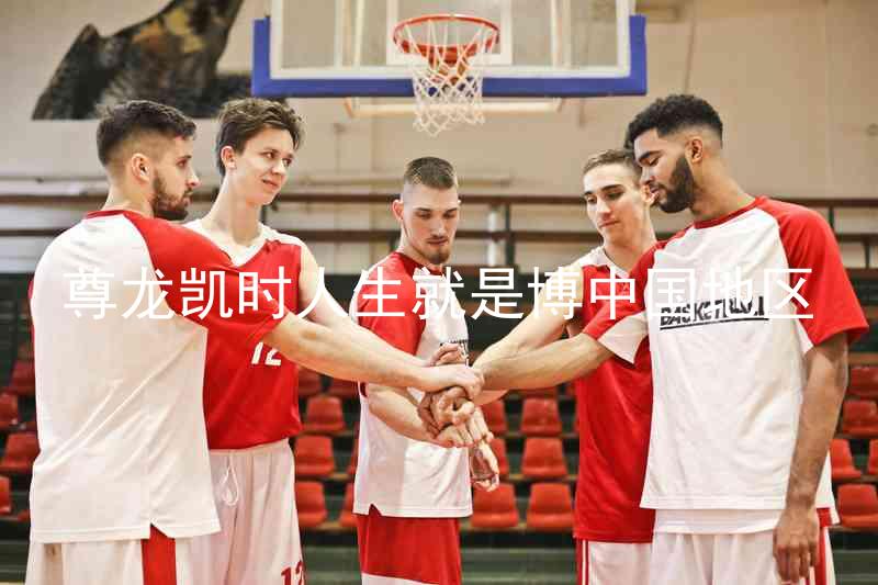 尊龙凯时人生就是博中国地区
